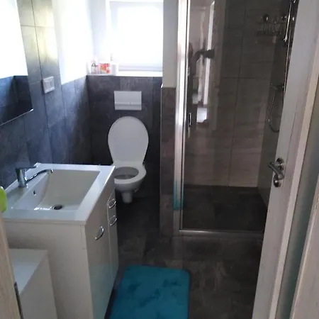 公寓 Vihorlat Iii *